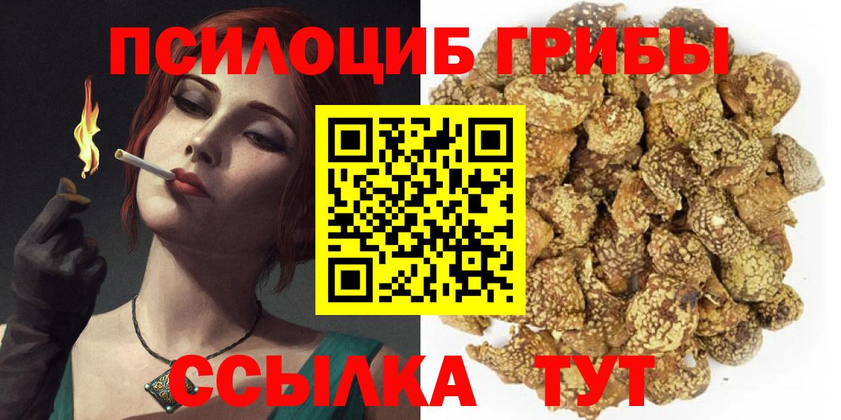 Псилоцибиновые грибы MAGIC MUSHROOMS  Вход с VPN  Зеленогорск 